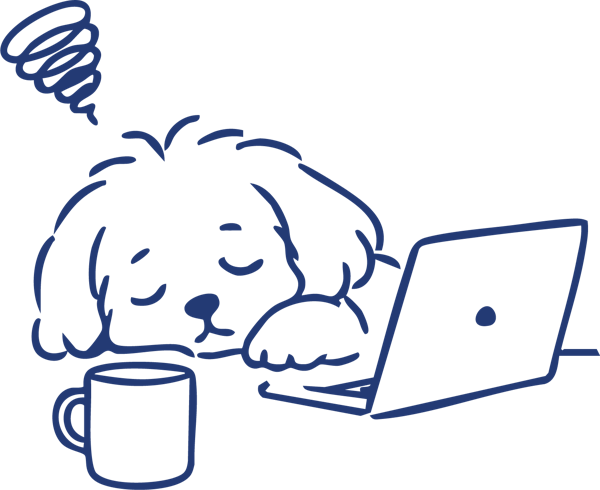 Molly the studio dog asleep on a laptop next to a coffee mug